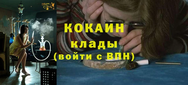 шишки Аркадак