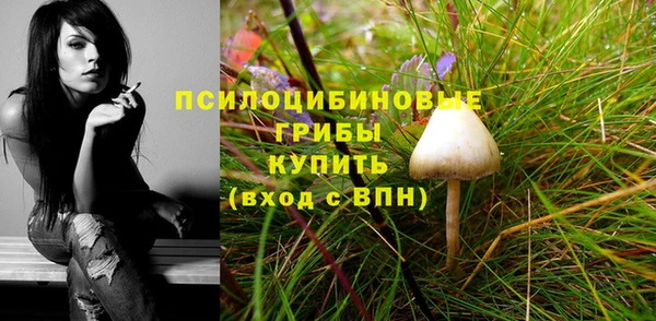 ALPHA-PVP Арсеньев