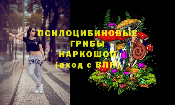 шишки Аркадак