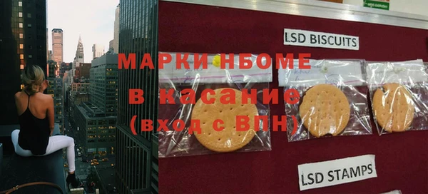 шишки Аркадак